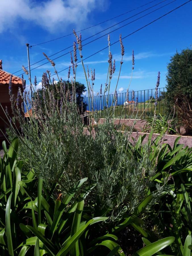 Casa Benedita Ponta do Pargo Buitenkant foto